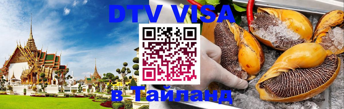 Оформление DTV визы под ключ: стоимость и тарифы, только загранпаспорт - 03.10.2025 